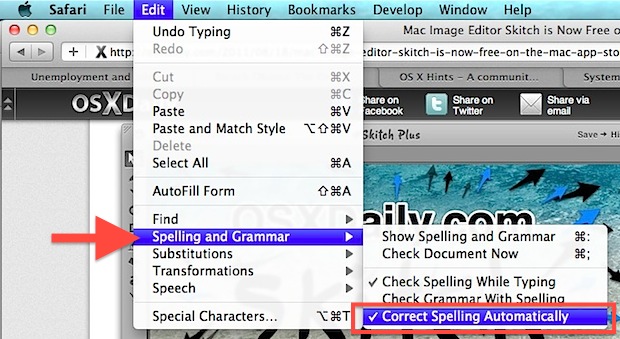 disable spellcheck for a specific document word mac 2011